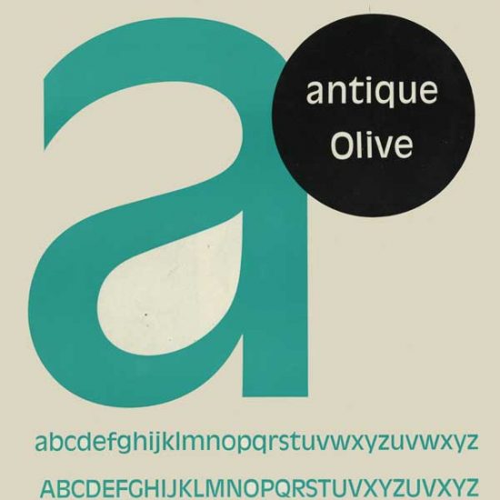 antique olive specimen - Roger Excoffon